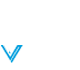 Logo Footer